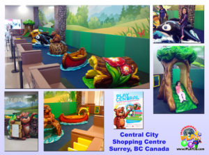 Installs Central City Shopping Centre BC Canada
