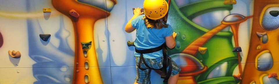 Climbing Wall, Indoor Play Equipment