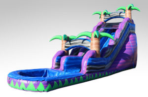 Inflatables Combo WS 1029 Waterslide, Inflatables