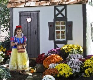 Fairytale Cottage Playhouse