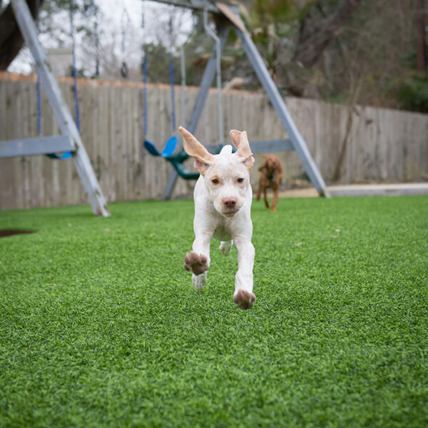Synthetic Turf, Synthetic Grass, Ground Cover, Playground Safety Surfacing