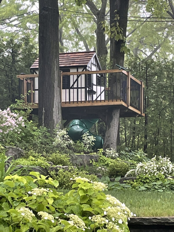 Cottage with 3 Windows and Dutch Door - Image 6